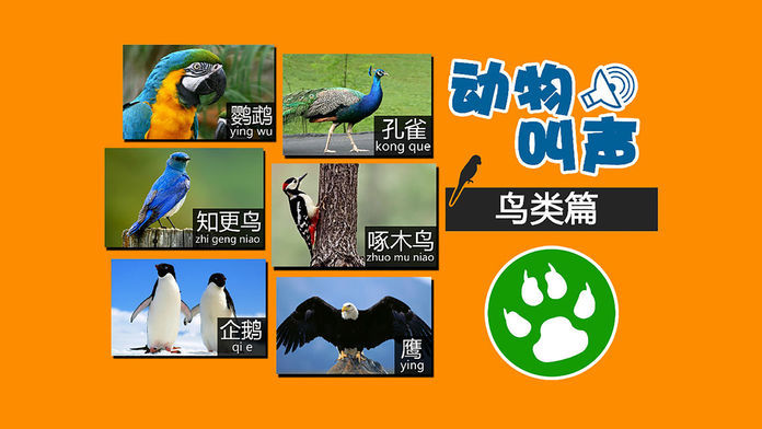 猫咪Cats动物叫声