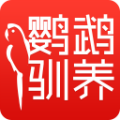 鹦鹉驯养