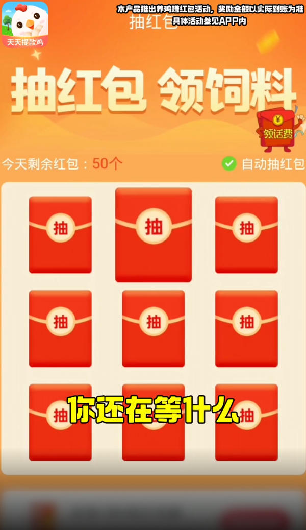 天天提款鸡