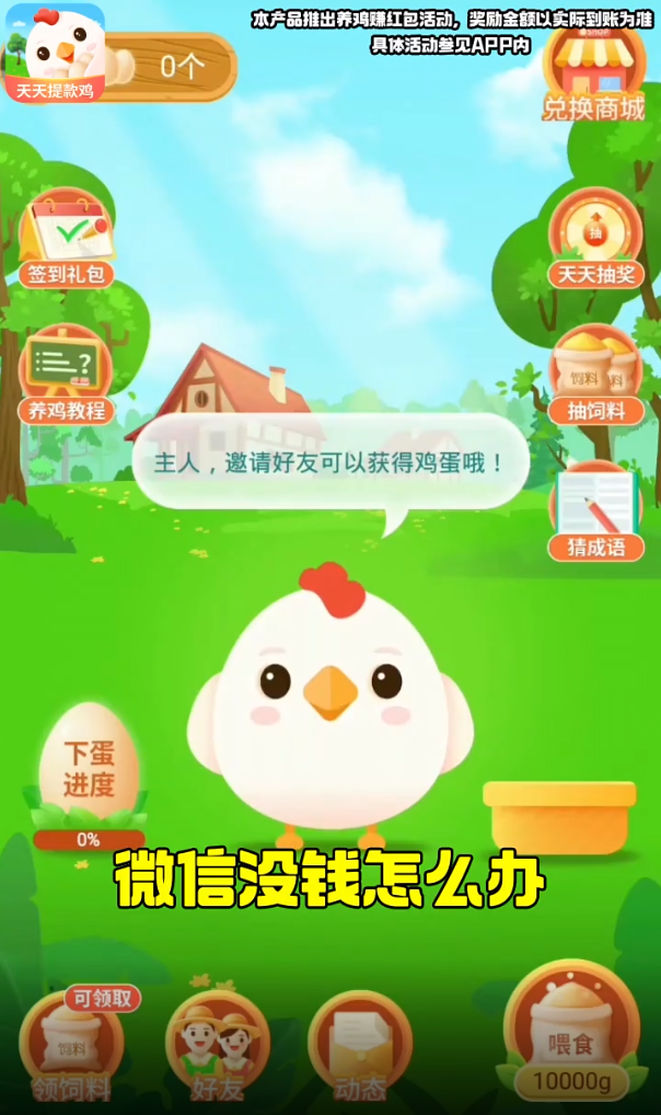 天天提款鸡