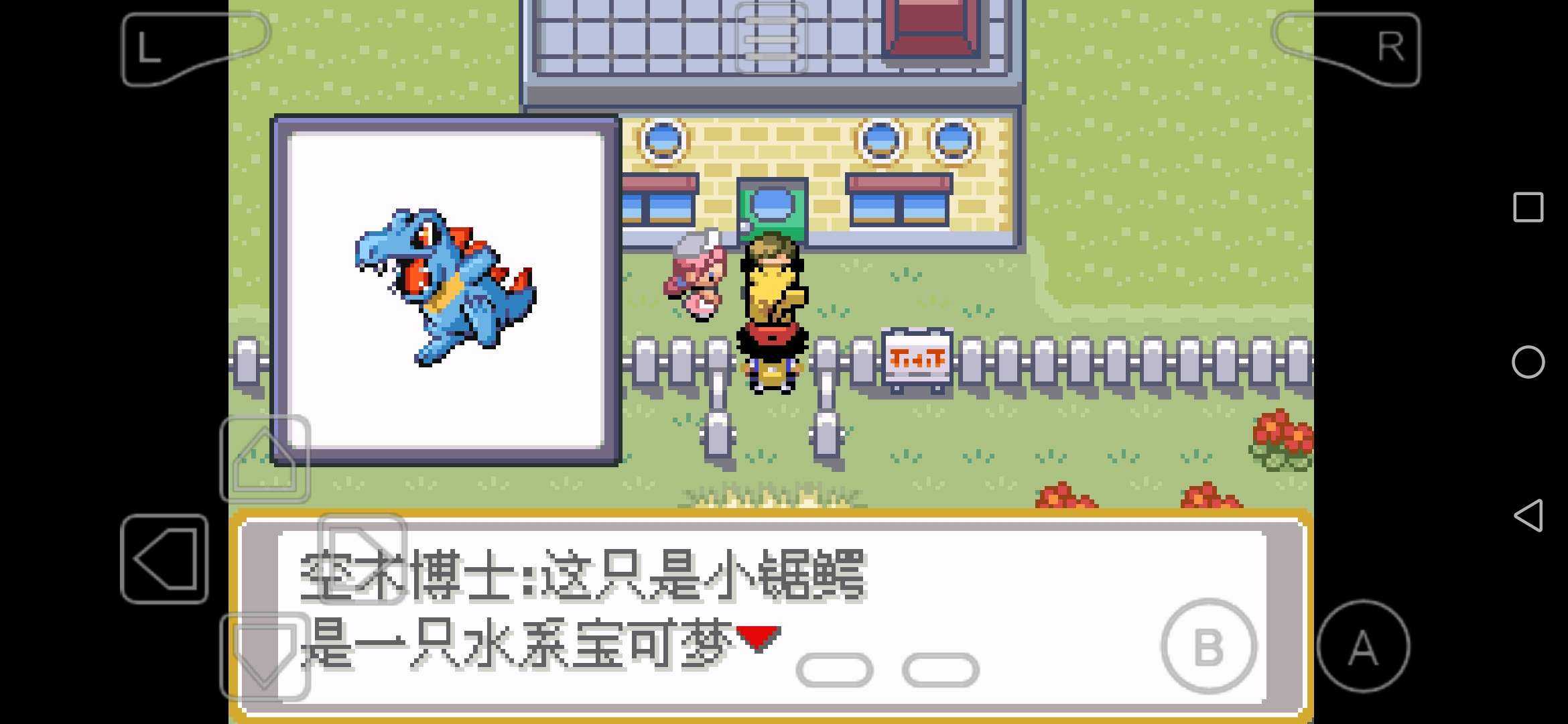 小智城都冒险之最初的结束
