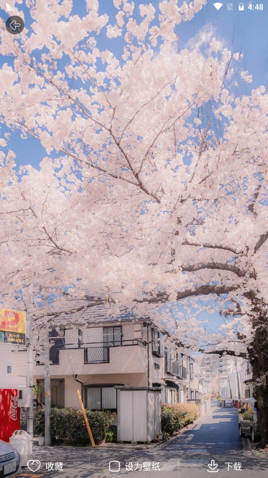 壁纸天天换