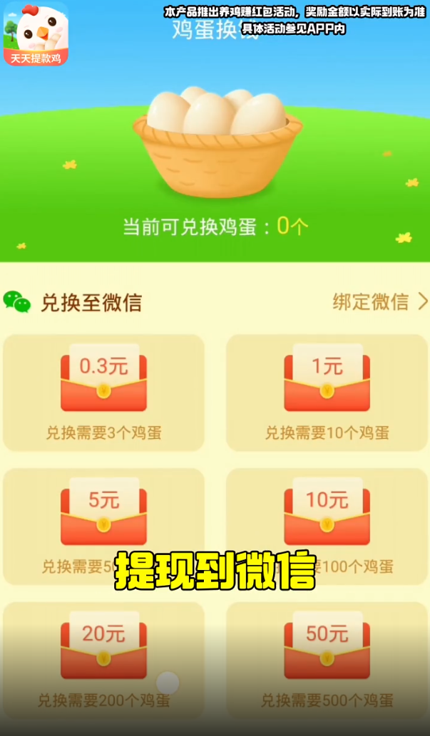 天天提款鸡