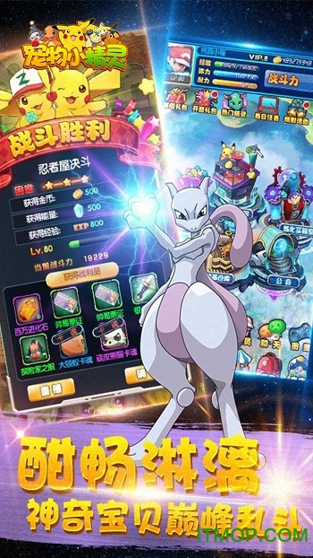 宠物小精灵XY满V版 宠物小精灵XY满V版