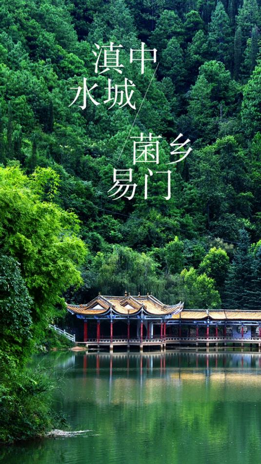 菌乡易门 菌乡易门
