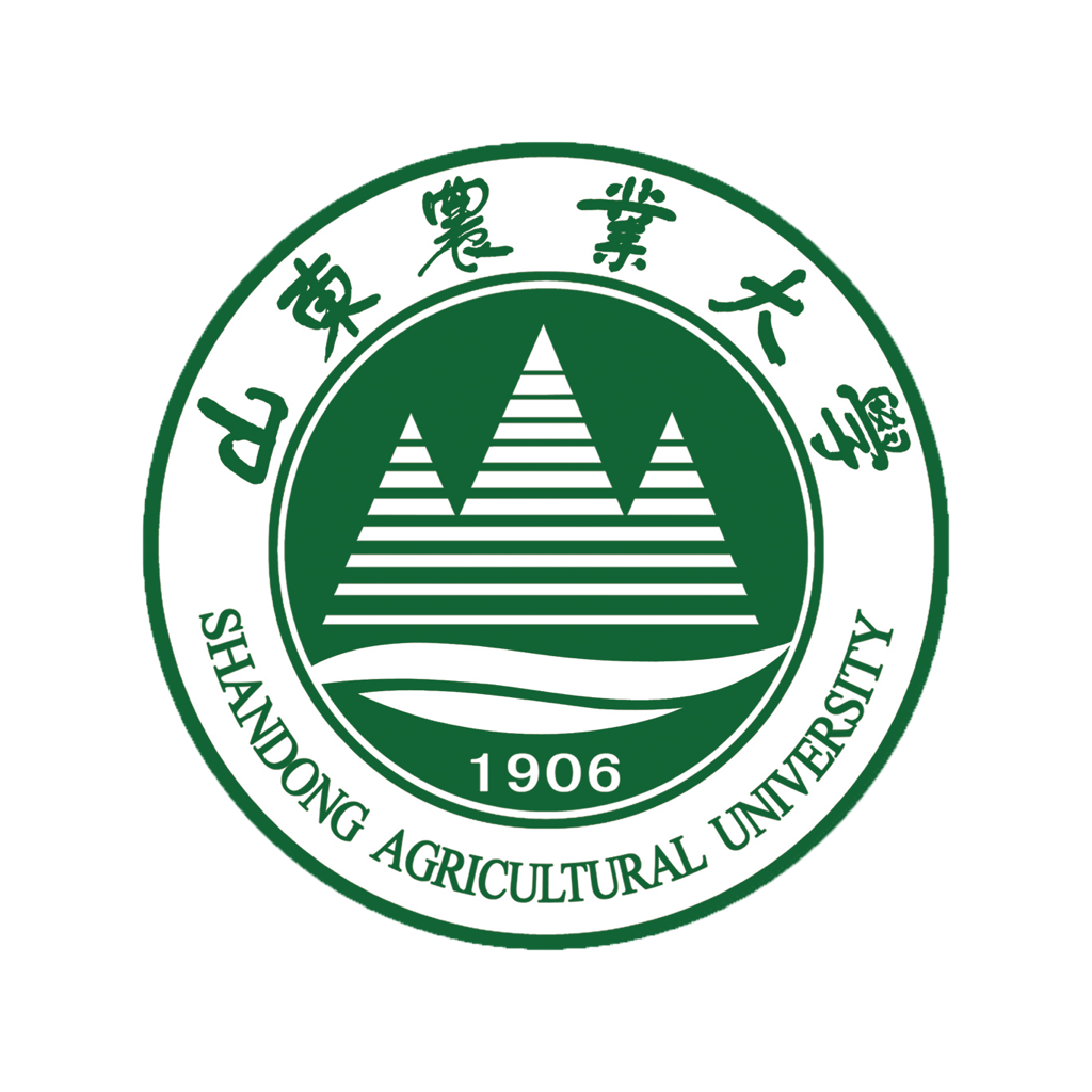 山农e卡通