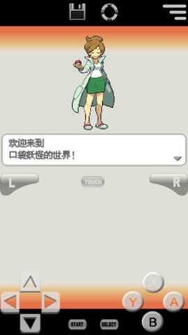 口袋妖怪 白2 口袋妖怪 白2