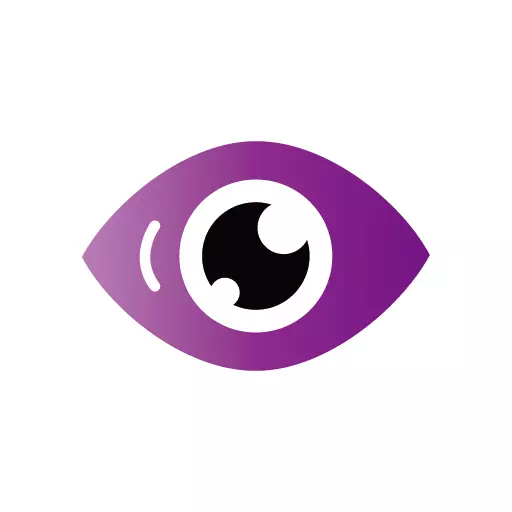 入眼