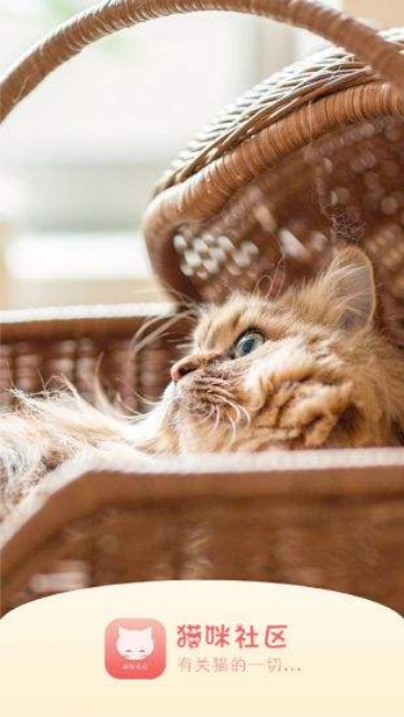 宅男宅女交友网