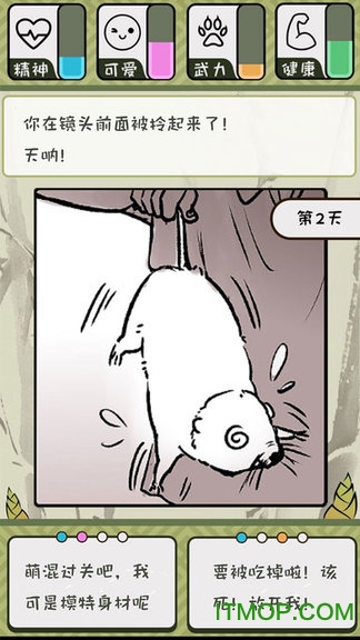 竹鼠：活下去