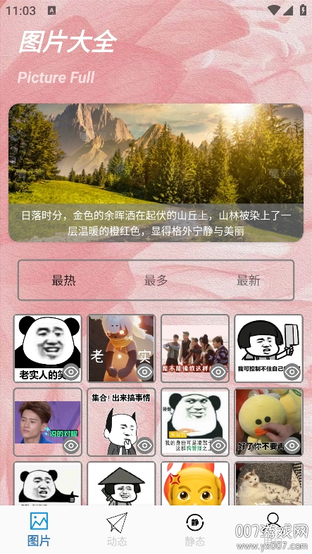 动态 动态