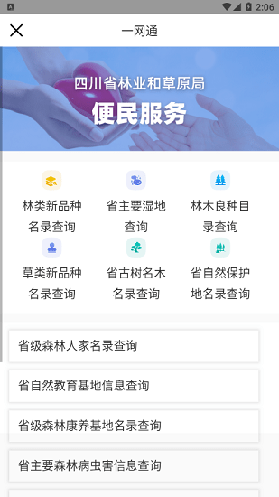 数字熊猫