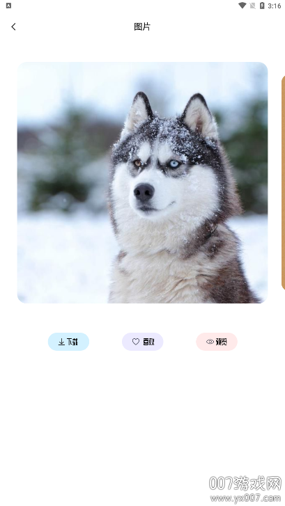 草莓壁纸大全