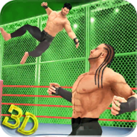 WWE综合格斗2019(Tag Team Wrestling World 2019)