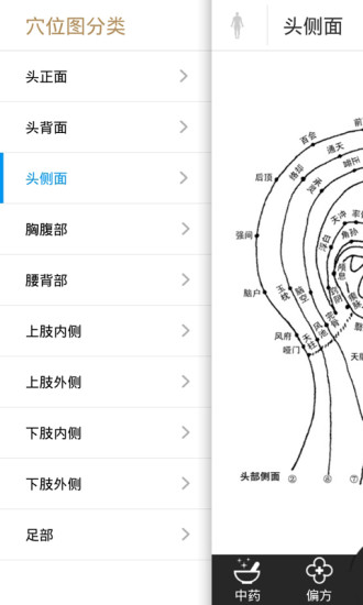 中药大全 中药大全