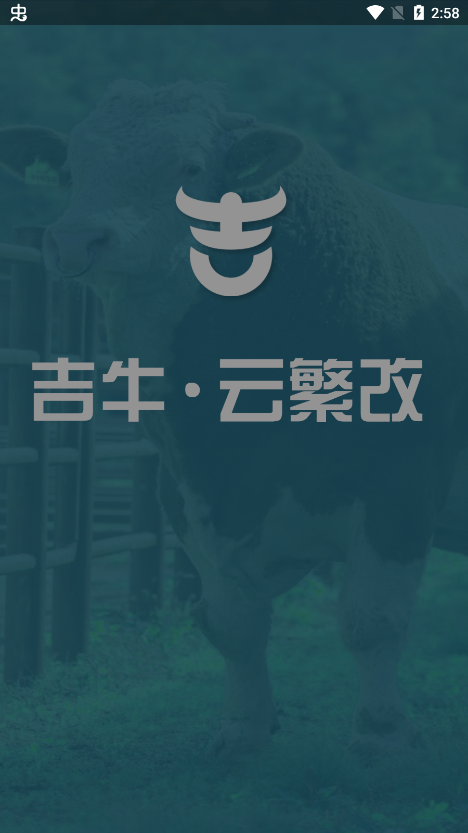 吉牛·云繁改