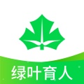 绿叶育人
