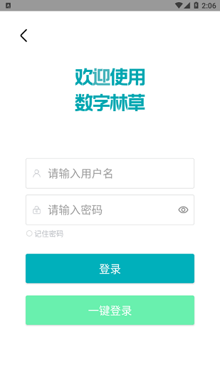 数字熊猫