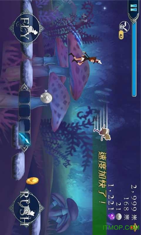 爱丽丝快跑