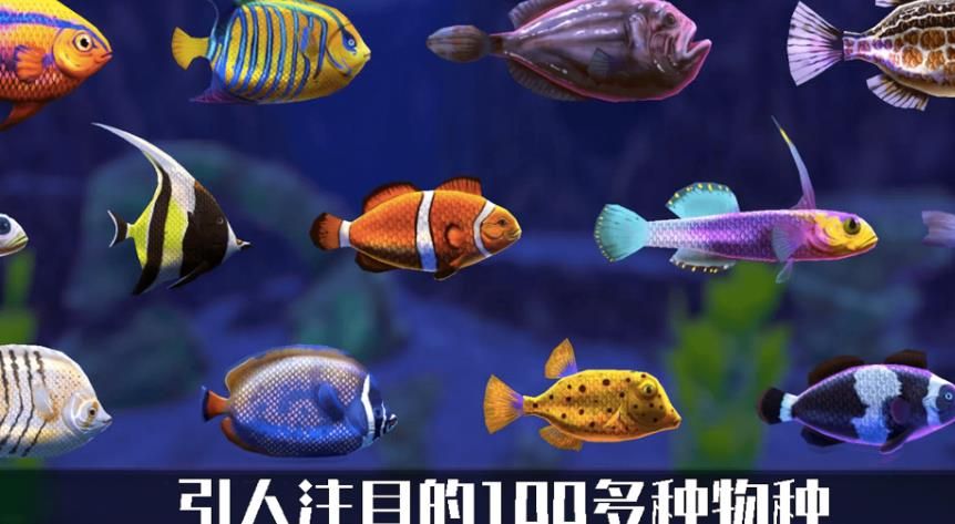 轻松水馆