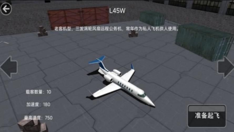 雄鹰飞行空中较量
