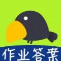 作业搜题专家