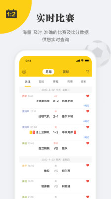 球状元