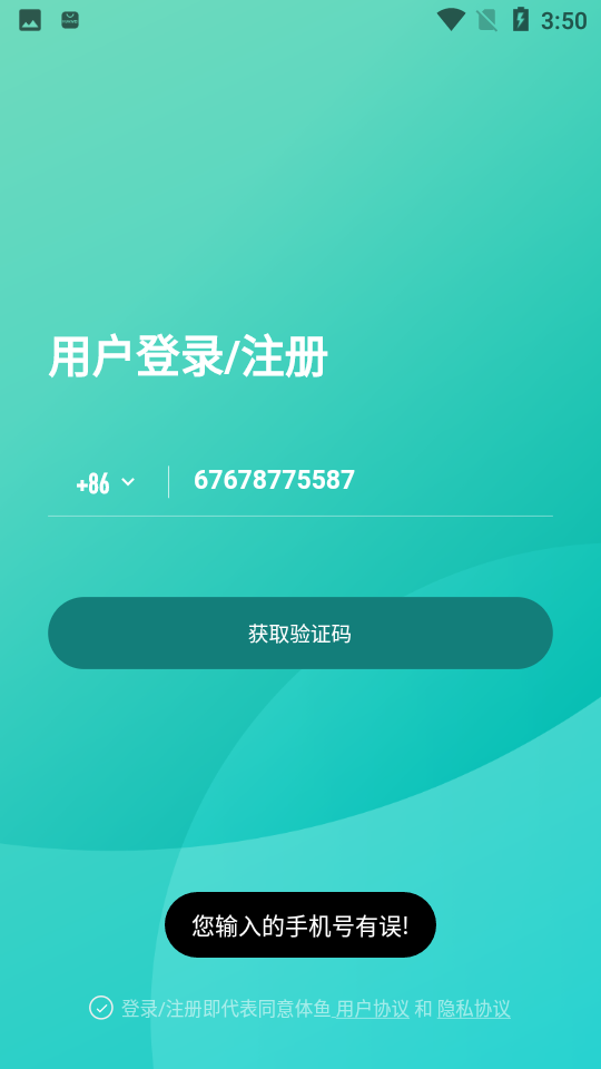 体鱼运动