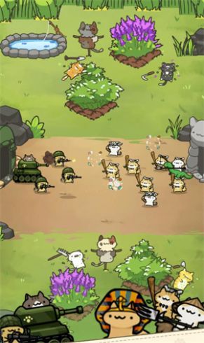 Just Kittens!