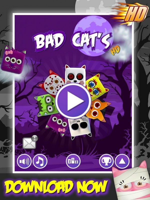 BadCats猫咪坏坏