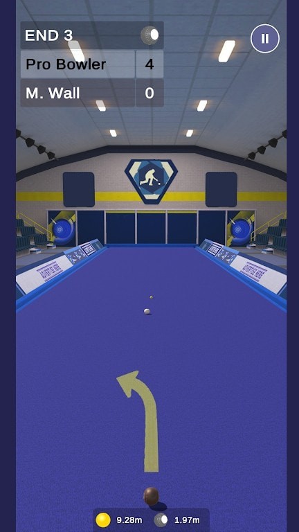 Bowls Pro(虚拟室内球) Bowls Pro(虚拟室内球)