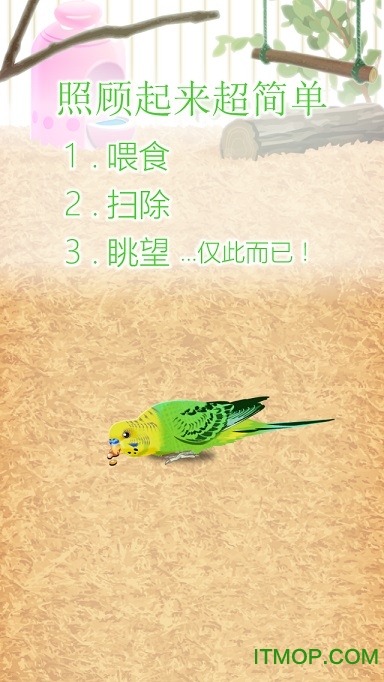 Parakeet