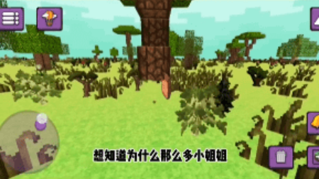 开放世界模拟器