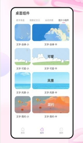 迷你小组件
