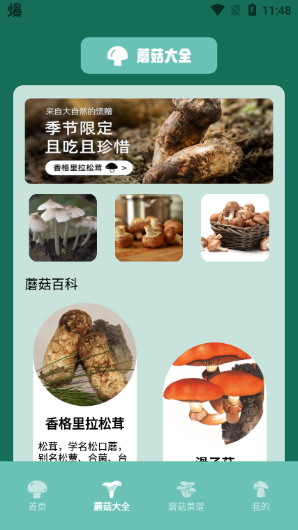 蘑菇识别