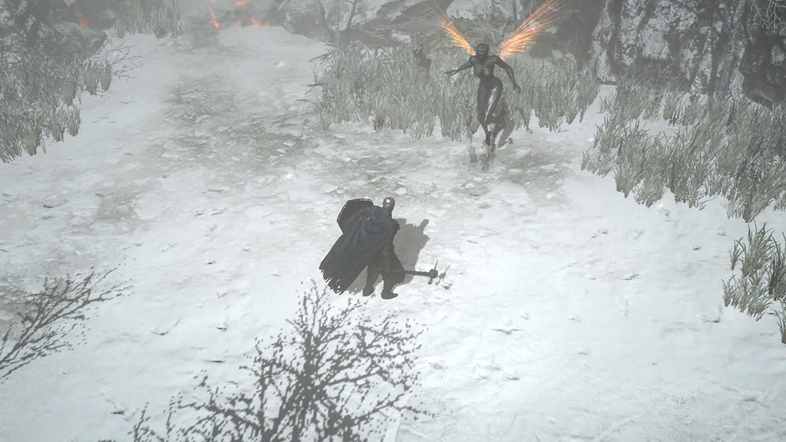 ANIMUS: Revenant