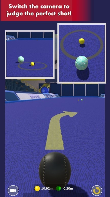 Bowls Pro(虚拟室内球)
