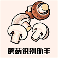 蘑菇识别