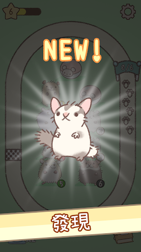 跑跑官方 跑跑官方