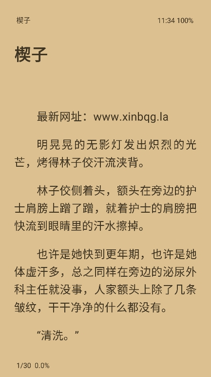 蜜桃小说app官方版下载