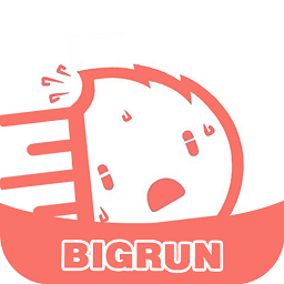 bigrun论坛app官方版下载