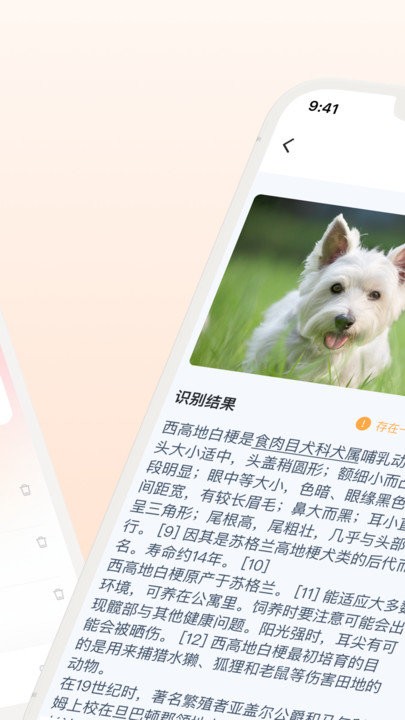 口袋识别
