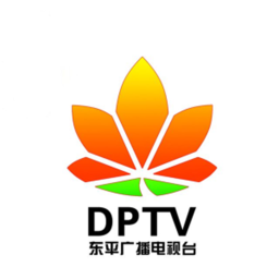 东平手机台