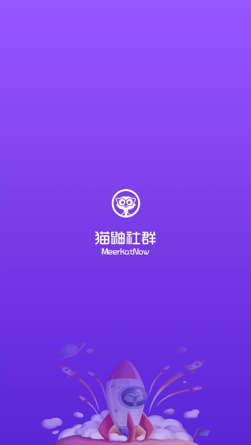 猫鼬社群