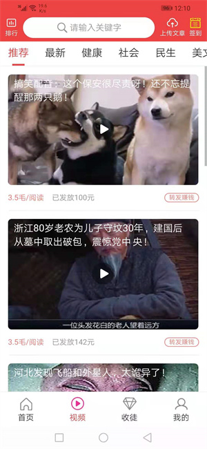 骄阳网