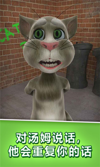 会说话的汤姆猫中文版 会说话的汤姆猫中文版