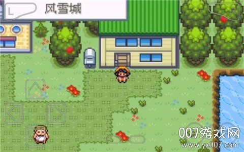 口袋妖怪暗黑银神兽中文版