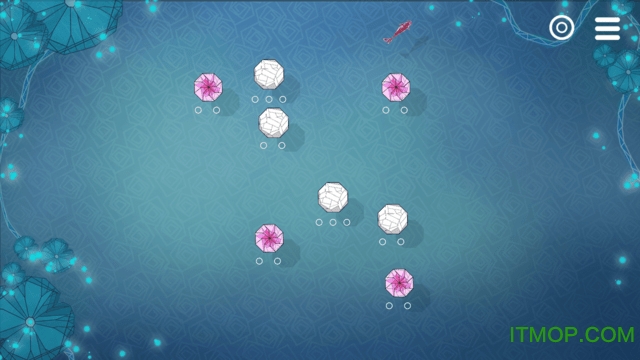 莲漪(Ripple Blossom)