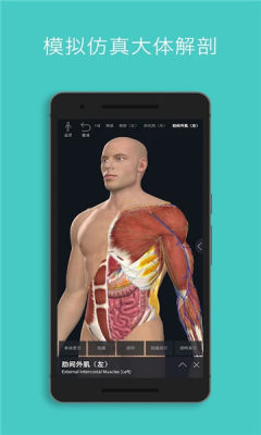 complete anatomy 2022手机版