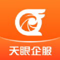 天眼企服